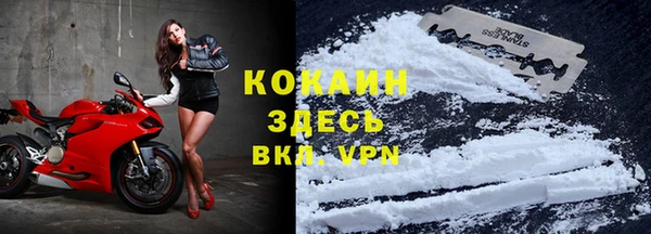 твердый Абаза