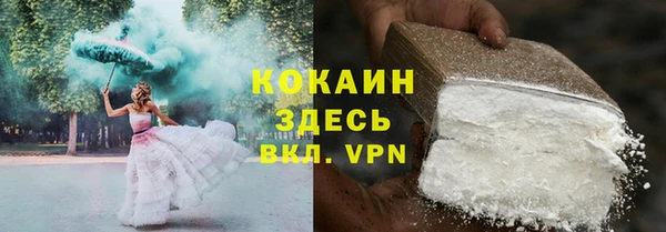 твердый Абаза