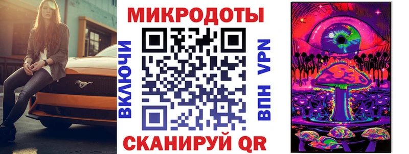Галлюциногенные грибы Psilocybe Кизилюрт
