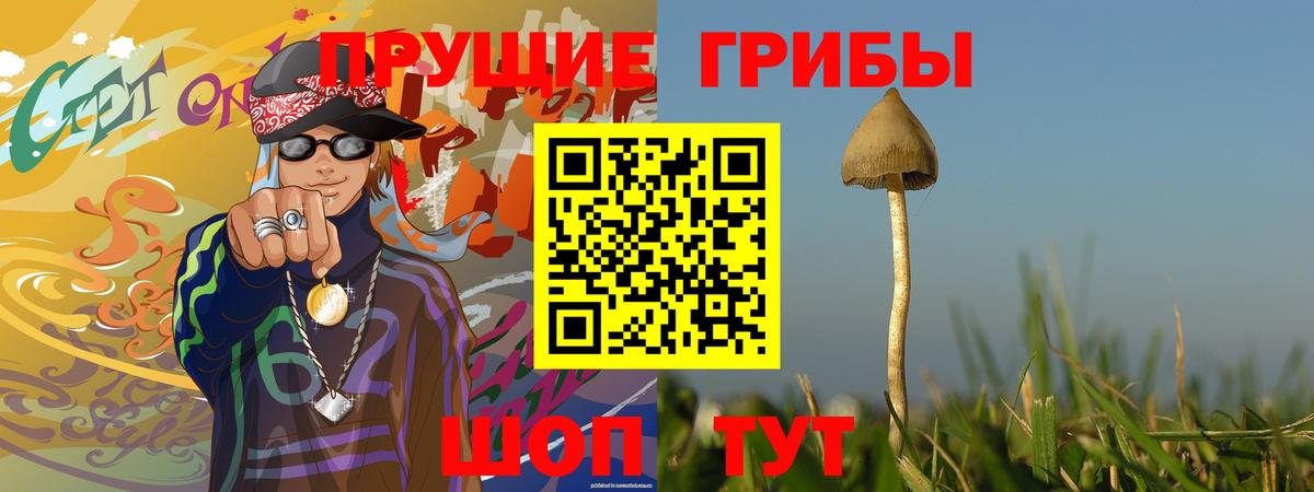 Галлюциногенные грибы прущие грибы  Вход с VPN  Кизилюрт 