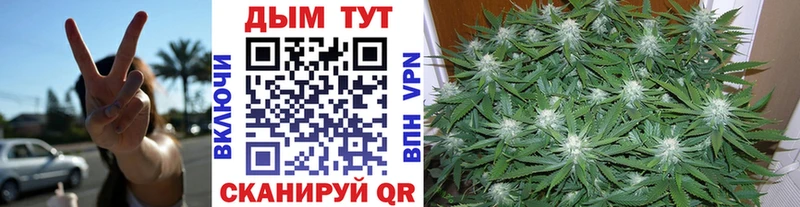 где купить наркотик  Кизилюрт  МАРИХУАНА план 